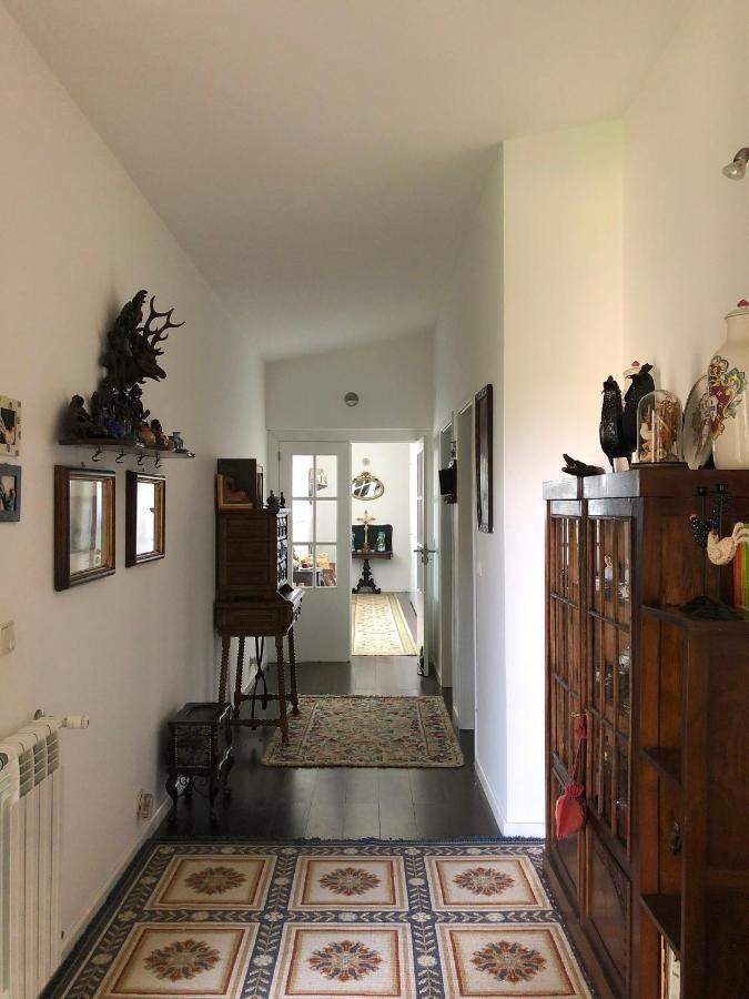 فيلا Casa Do Galo / Galo House Vimioso المظهر الخارجي الصورة